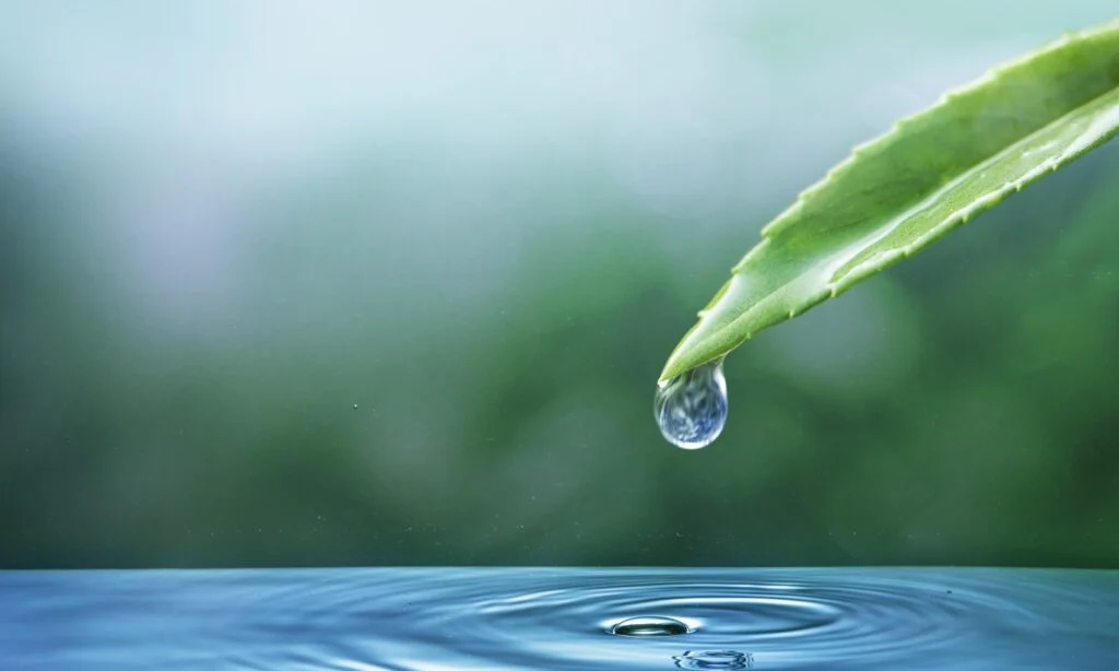 How to Prevent Water Damage in High-Risk Areas of Your Commercial Building