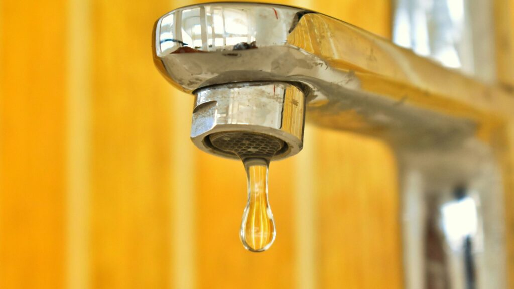 detect water leaks