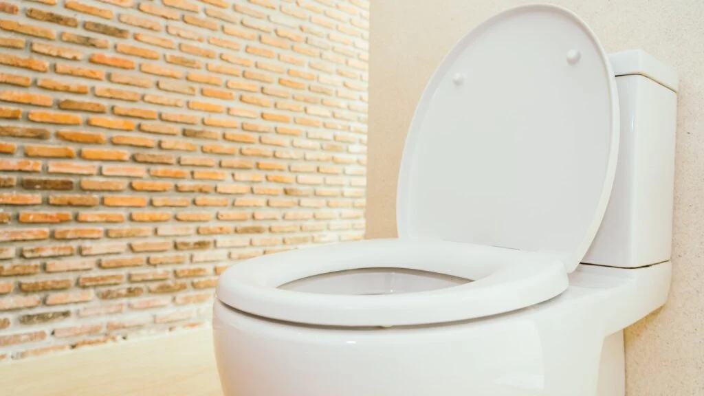 Stop toilet noise